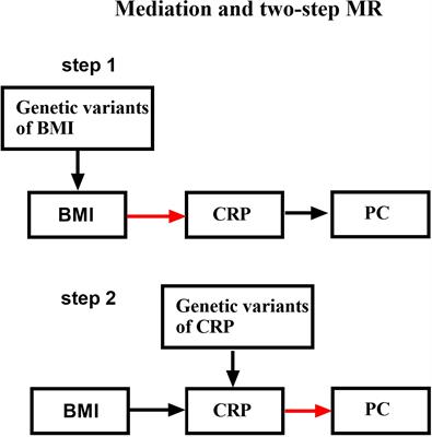 Frontiers Body Mass Index C Reactive Protein And Pancreatic Cancer